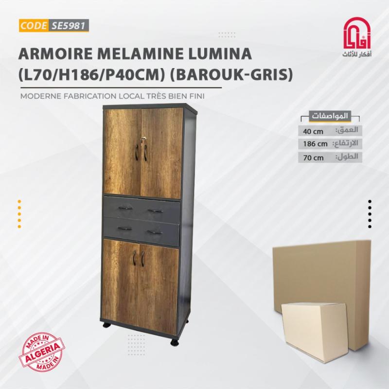 Armoire 2 Ports LUMINA ML (L70/P40/H186) Barouk Gris-Fonce