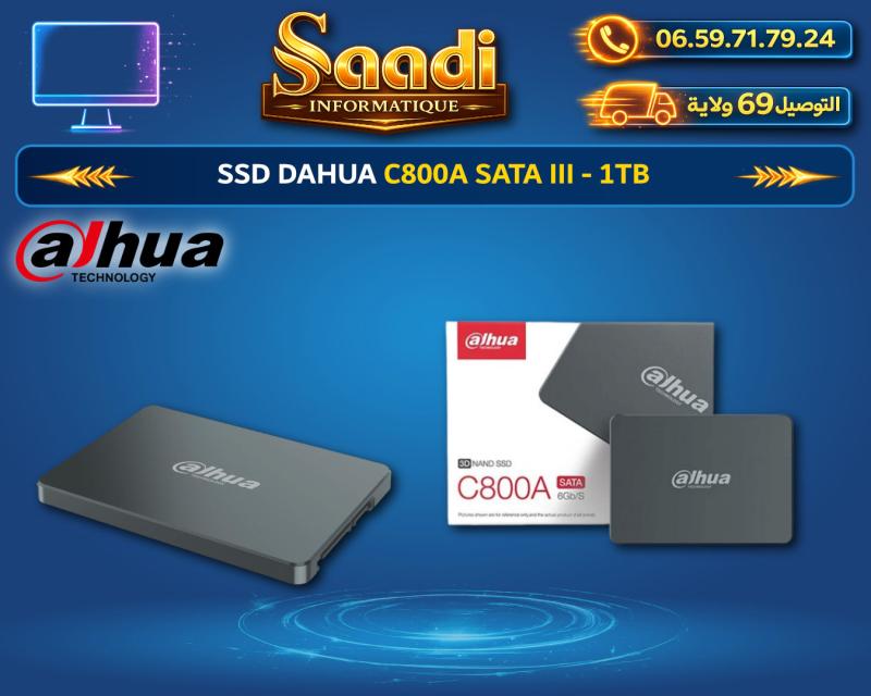 SSD DAHUA C800A SATA III - 1TB