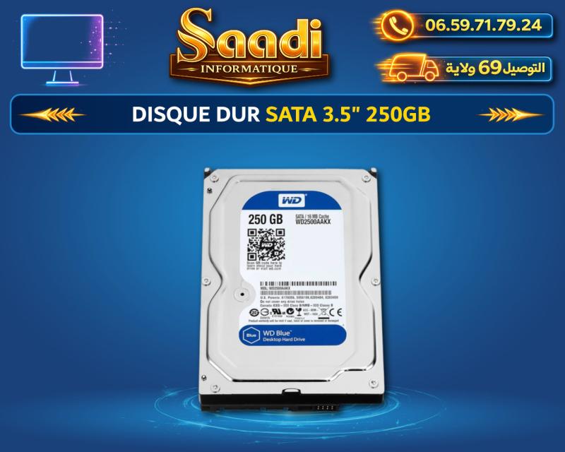 DISQUE DUR SATA 3.5" 250GB