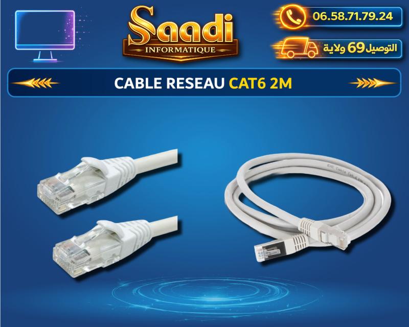 CABLE RESEAU CAT6 2M