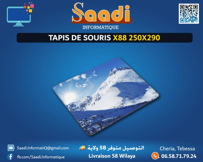 TAPIS DE SOURIS X88 250X290