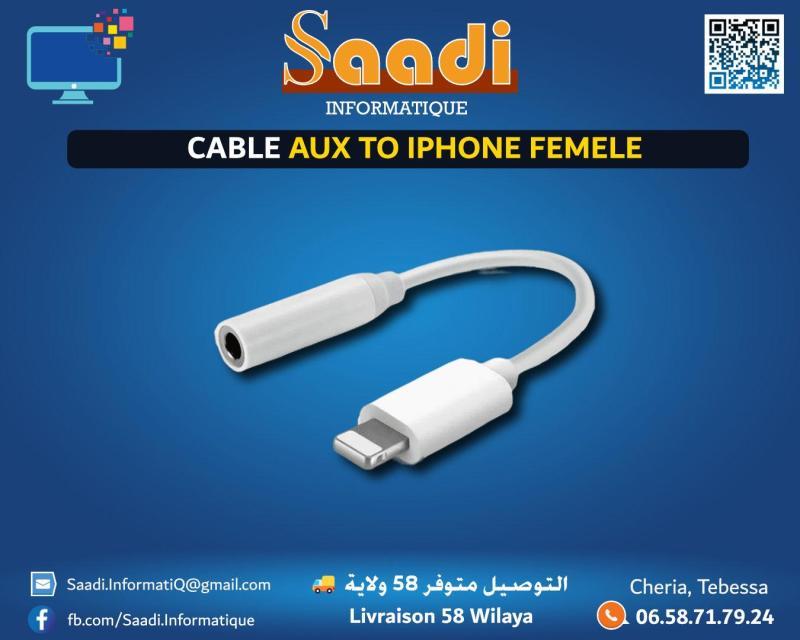 CABLE AUX TO IPHONE FEMELE